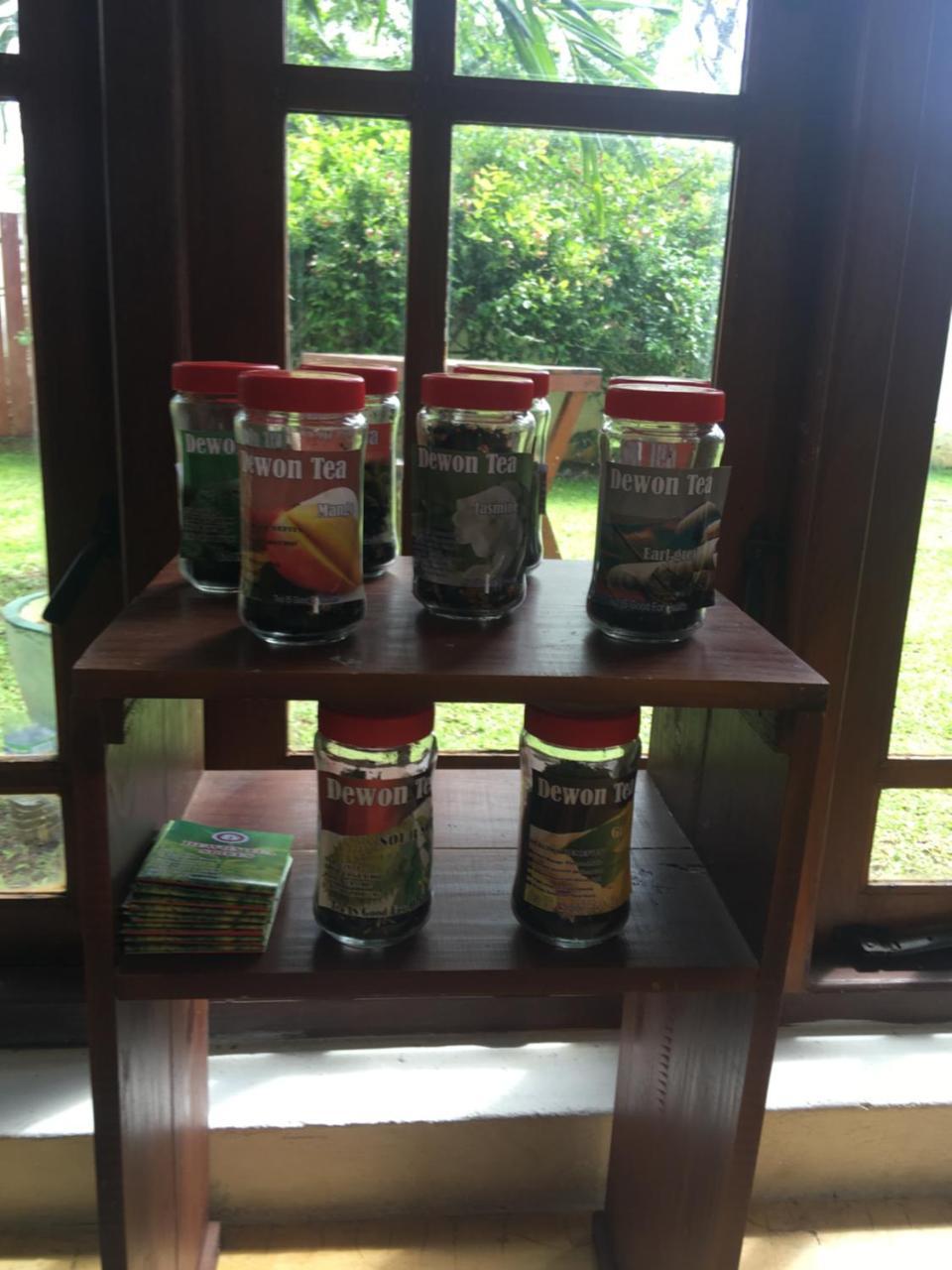 Like Mike Tourist Guest House & Restaurant Negombo Extérieur photo